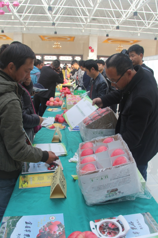 20170524/1d539257ffb33a328505950ac2328185.png 1d539257ffb33a328505950ac2328185.png